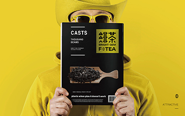 武威绯茶品牌设计